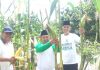 Sambut Pergantian Tahun, Baznas Tarakan Siapkan 15 Ton Jagung Manis
