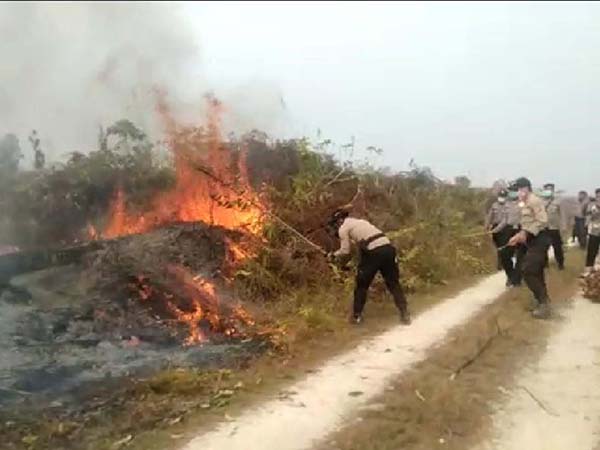 BPBD Kaltara: Ada 173 Kebakaran Hutan dan Lahan sepanjang 2019