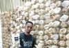 Sudirman jadi Duta Petani Milenial, Kembangkan Jamur Tiram Putih