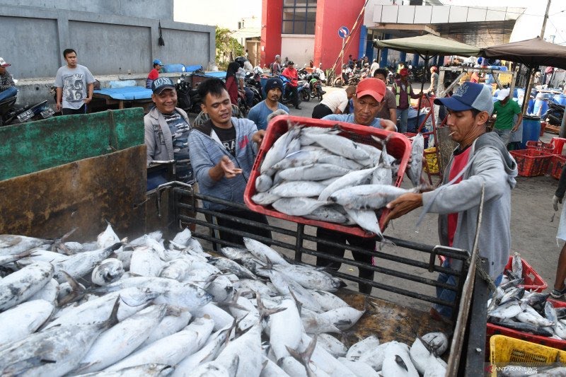 BC Tarakan: Produk Perikanan Melimpah, Tapi Kesulitan pada Transportasi Ekspor