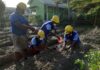 Belasan Napi Tarakan Belajar Berkebun, Program Asimilasi Jadi Bekal ketika Bebas