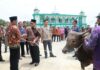 Idul Adha, Pemprov Siapkan 7 Sapi Kurban