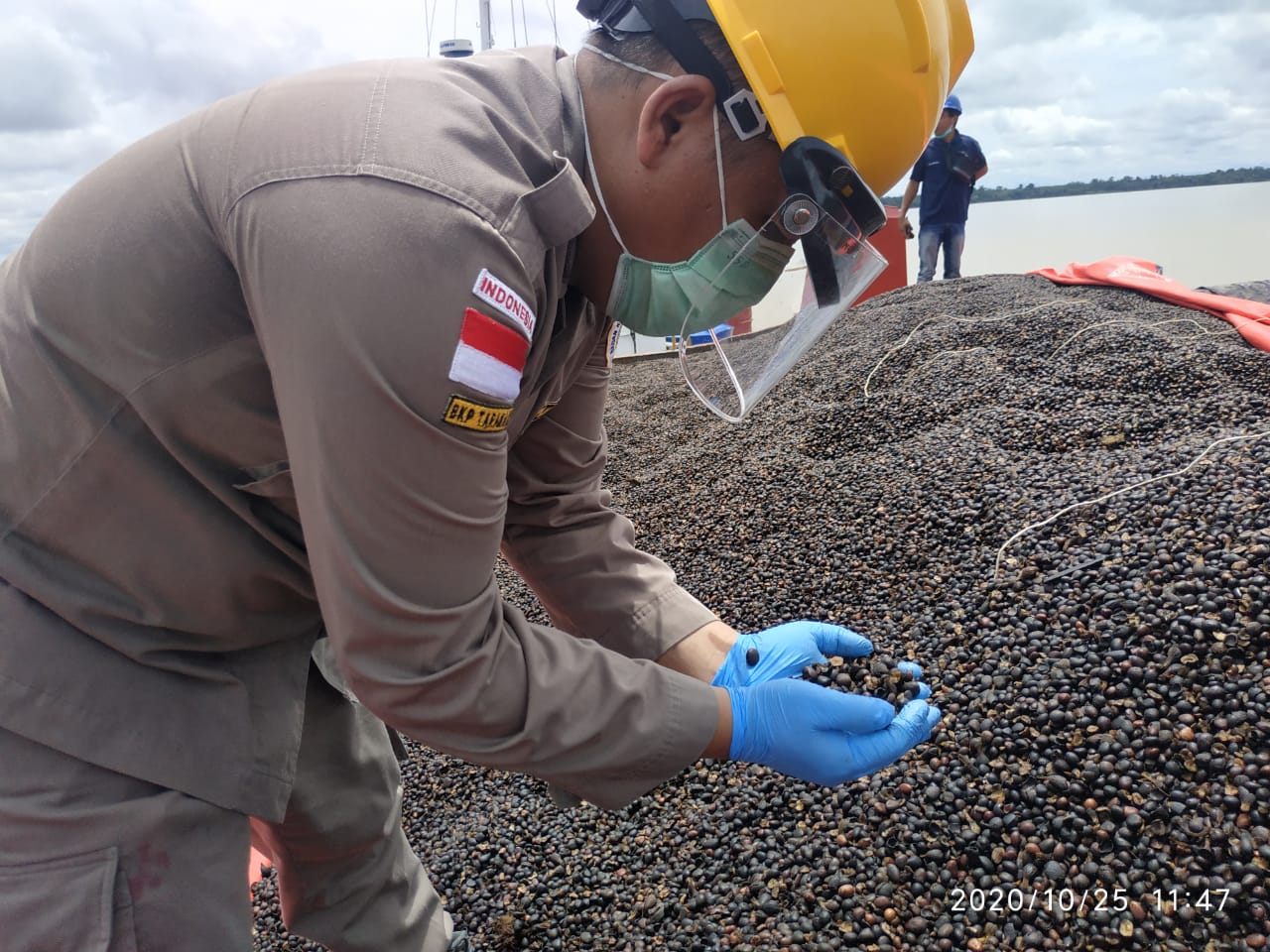 Ekspor Palm Kernel Asal Kaltara Diekspor ke Malaysia