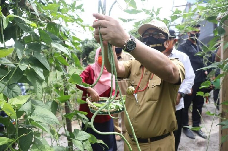 Inflasi Kaltara Terjaga di Bawah Inflasi Nasional