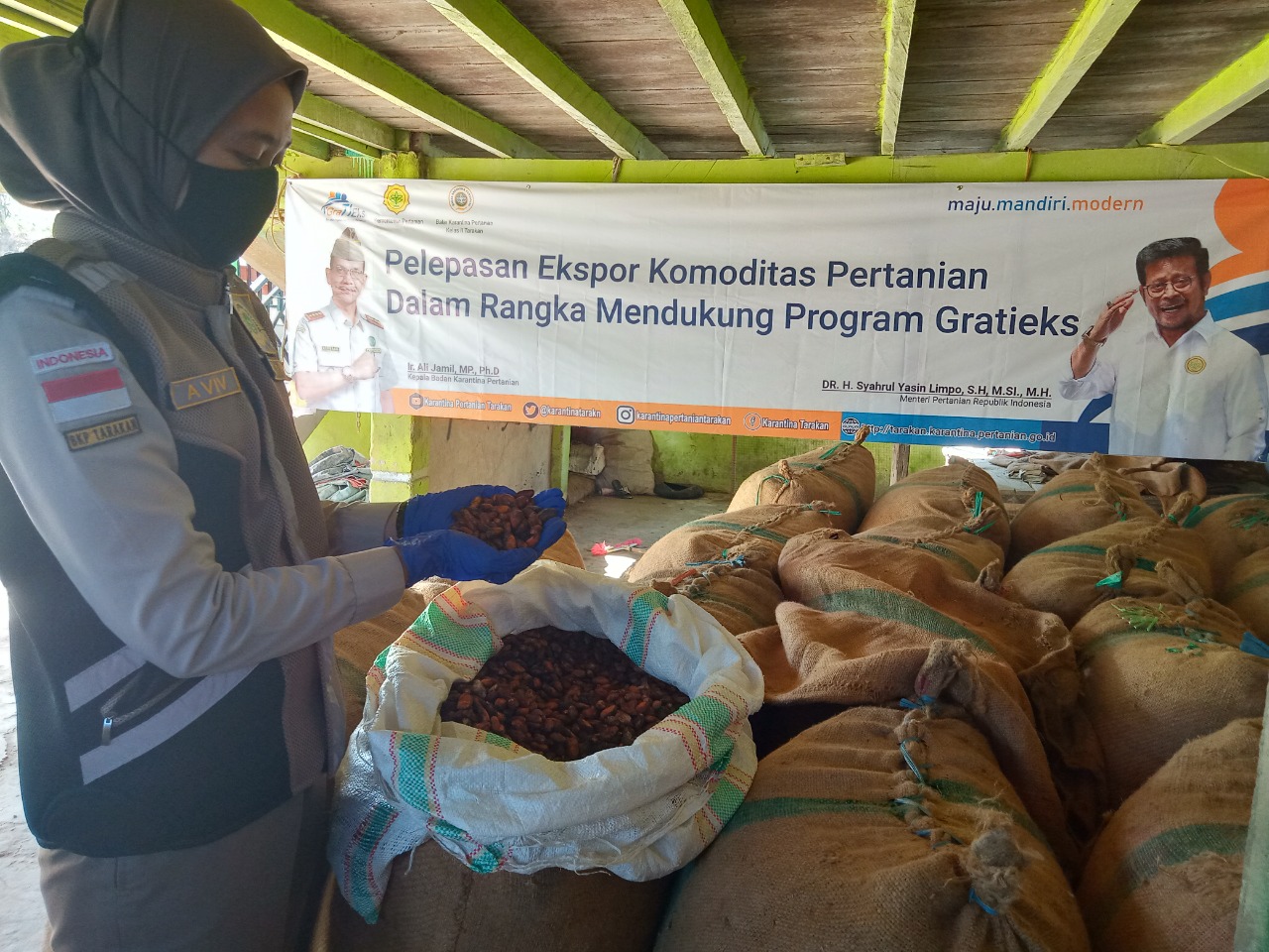 Bebas OPT, Karantina Pertanian Tarakan Lepas 2 Ton Kakao Biji Menuju Malaysia