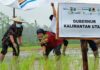 PT Pupuk Indonesia Tanam Perdana Program Agro Solution di Desa Sajau Hilir