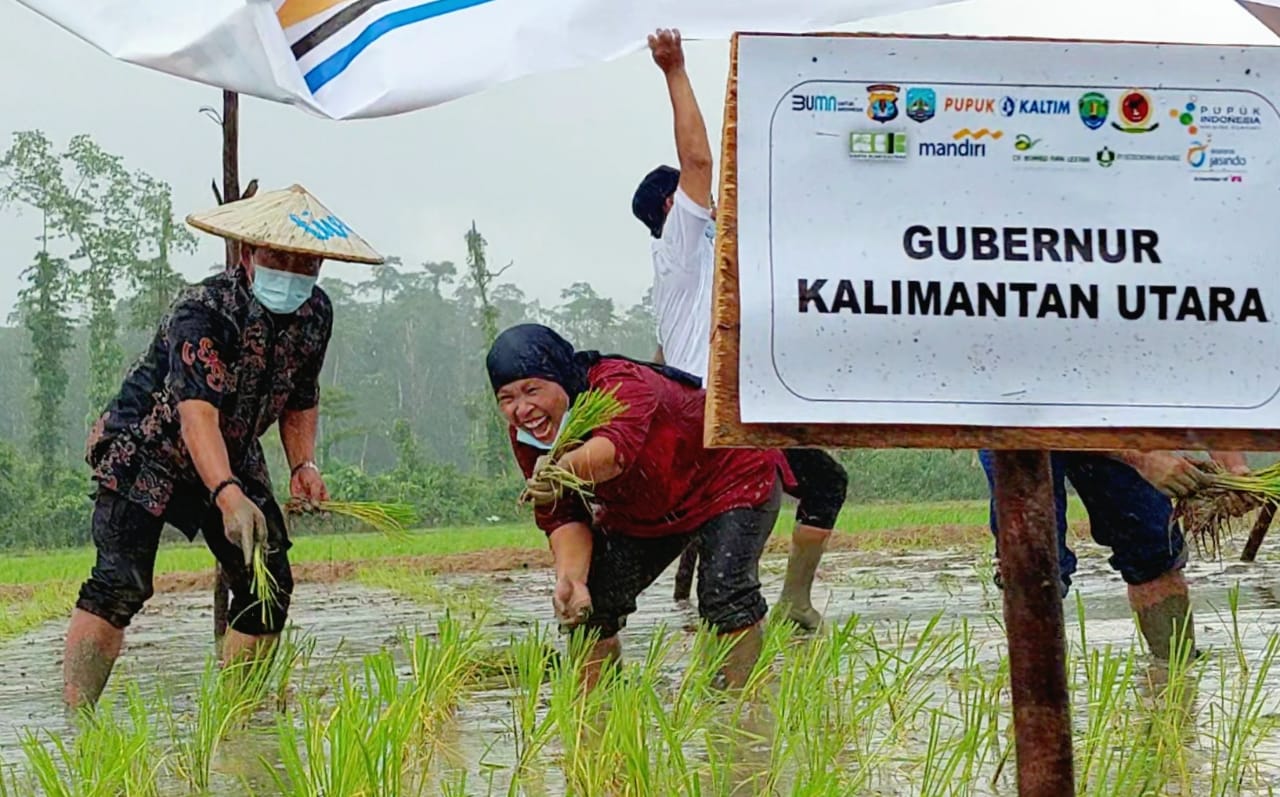 PT Pupuk Indonesia Tanam Perdana Program Agro Solution di Desa Sajau Hilir