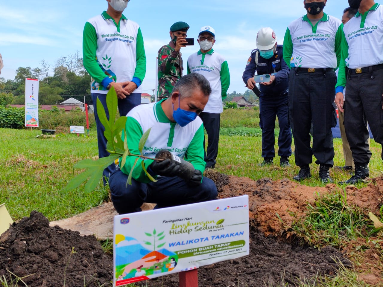 Pertamina EP Tarakan Field Kembangkan Tanaman Endemik Di Dua Lokasi ...