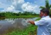 Tanjung Buyu Cocok Dijadikan Kawasan Pertanian dan Perikanan Air Tawar