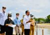 Presiden Jokowi Tanam Mangrove Bersama Dubes dan Masyarakat di Tana Tidung