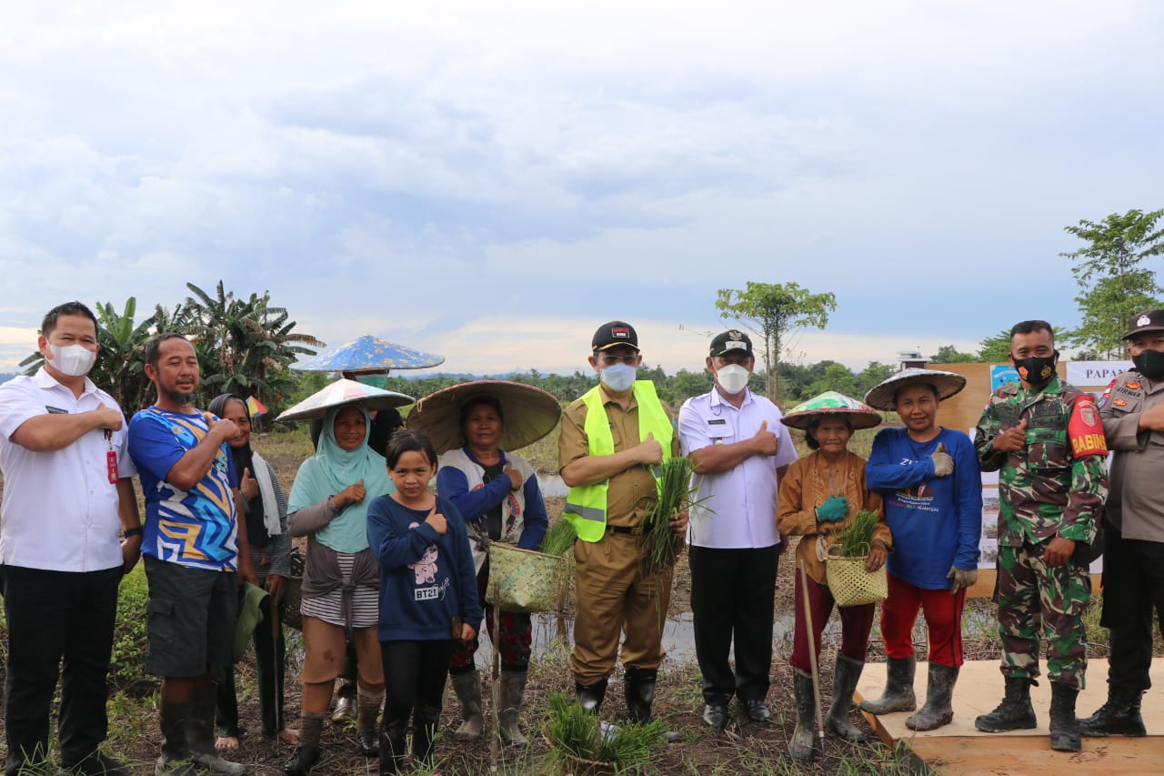 Wagub: Pertanian Malinau Berpotensi Andalan Nasional