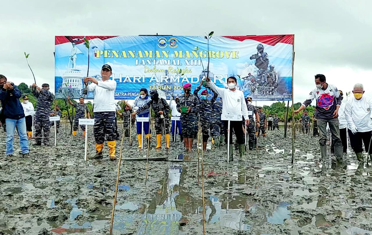 Peringatan Hari Armada RI, Gubernur Bersama Danlantamal XIII Tanam Mangroove di Tarakan