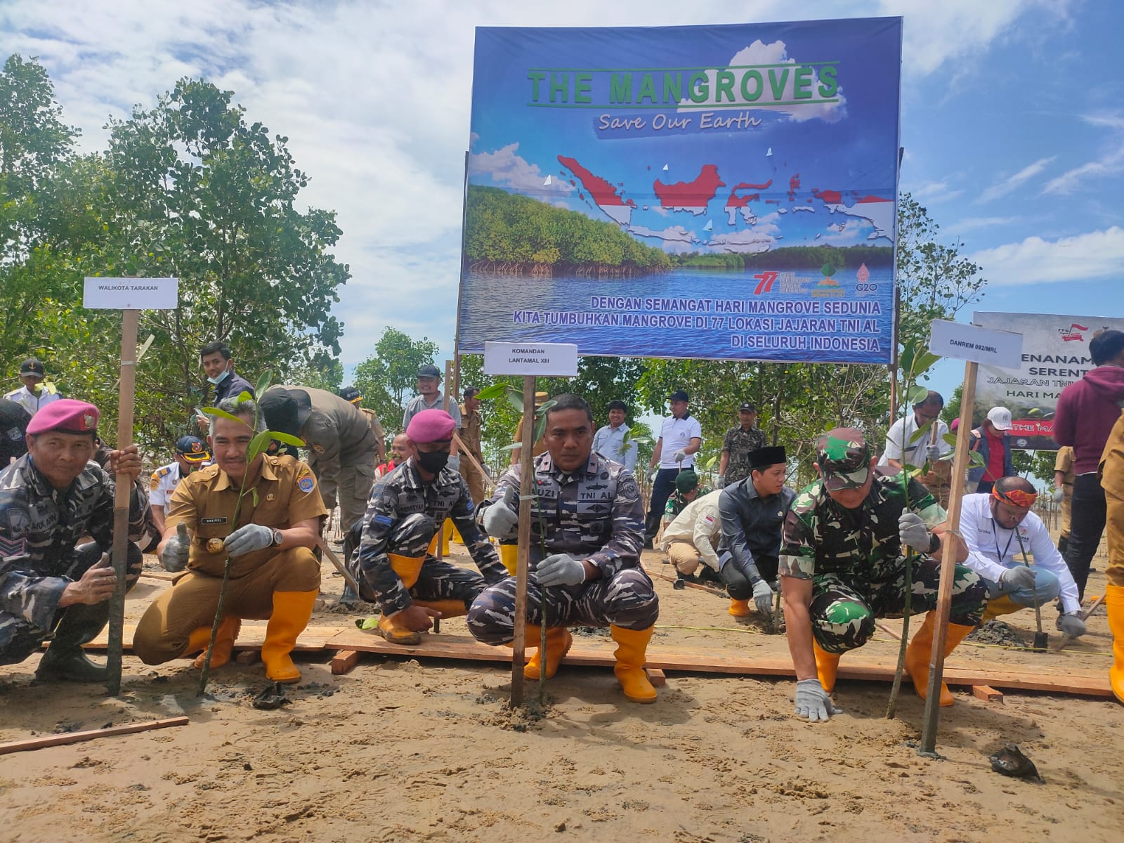 Peringati Hari Mangrove Sedunia, Lantamal Tarakan Tanam 5.000 Mangrove di Pantai Amal