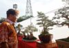 Kukuhkan Komunitas Bonsai Tarakan, Gubernur Dorong Tingkatkan Karya dan Inovasi