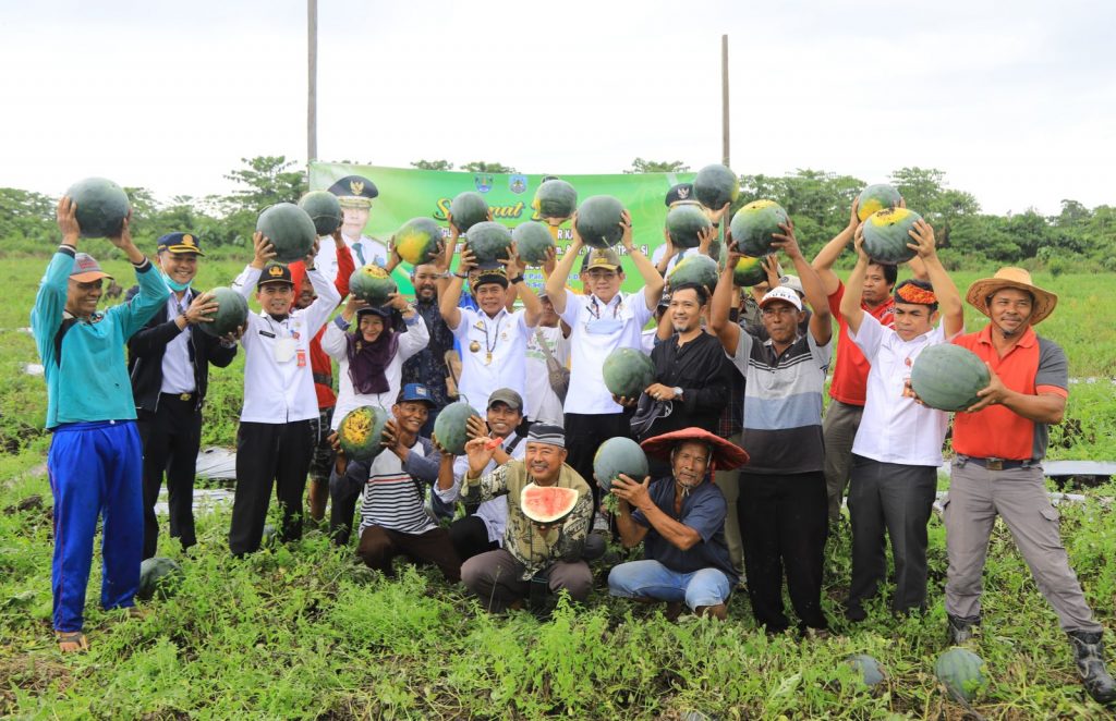 Omzet Menjanjikan, Gubernur Ajak Generasi Muda untuk Bertani