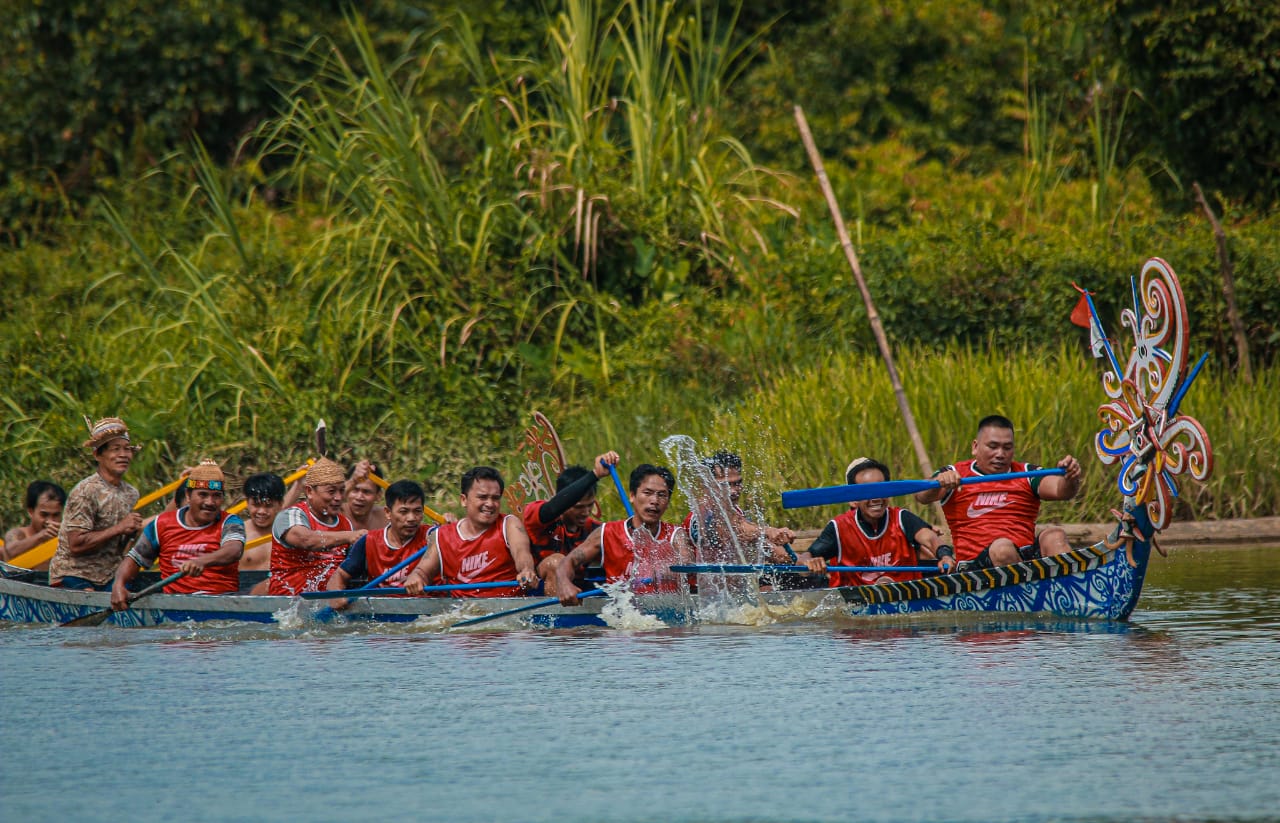 Keseruan Balap Dayung Perahu Tradisional di Tanjung Keranjang Malinau
