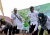 Dukung Indonesia Hijau, Kaltara Turut Gerakan Penanaman Seribu Pohon Serentak