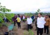 Mulai Penghijauan IKN, Presiden: Untuk Bangun Hutan Hujan Tropis yang Beragam