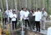 Presiden Jokowi Tinjau Miniatur Reforestrasi Hutan Tropis dan Lakukan Penanaman Pohon