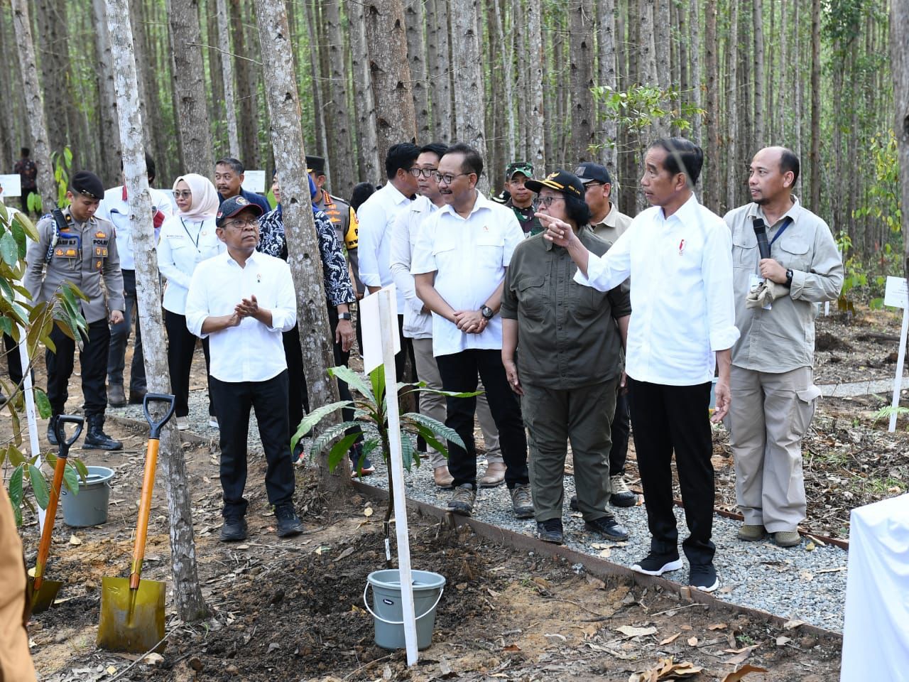 Presiden Jokowi Tinjau Miniatur Reforestrasi Hutan Tropis dan Lakukan Penanaman Pohon