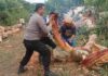 Bhabinkamtibmas Polsek Malinau Barat Evakuasi Pohon Tumbang Usai Hujan dan Angin Kencang