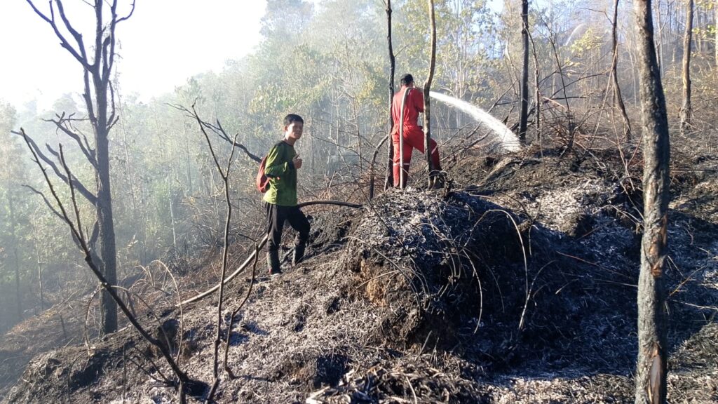 KPH Tarakan Tangani Kebakaran Hutan Kota Sei Batu Mapan