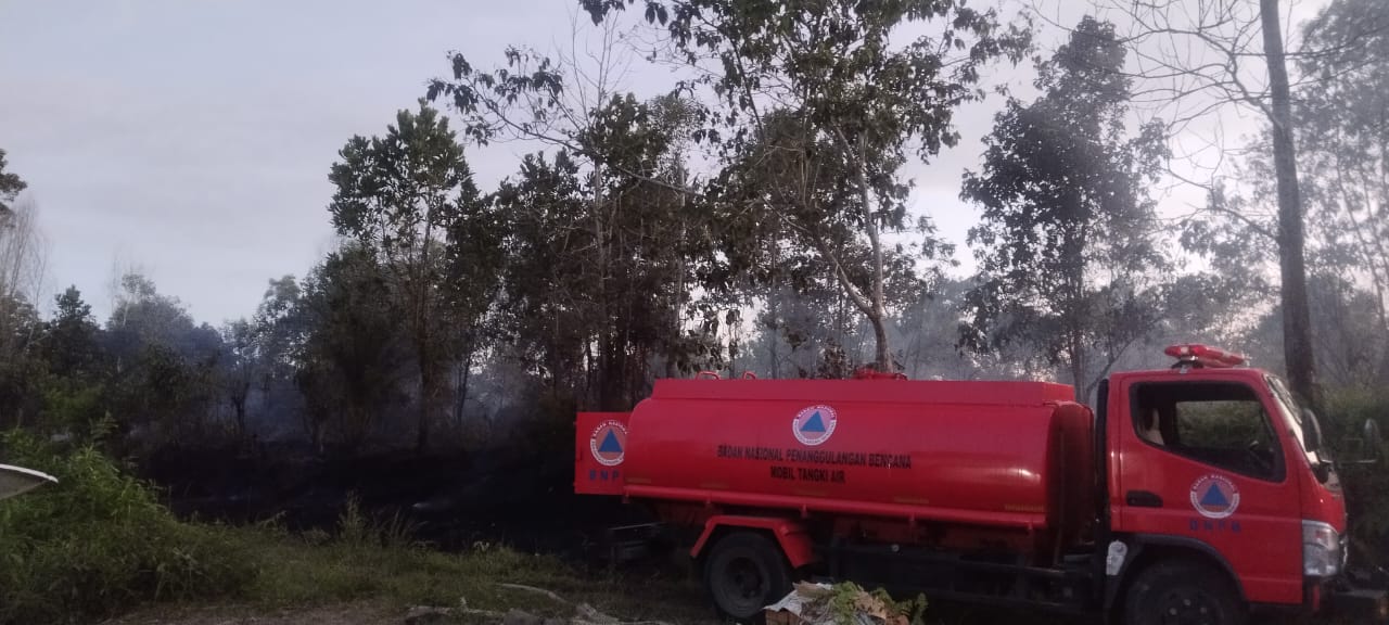 Hutan dan Lahan di Jalan Kampung Timur Nunukan Dilahap si Jago Merah