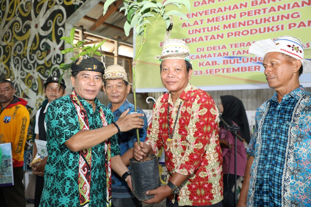 Jadi Pintu Masuk IKN, Kaltara Berbenah Tingkatkan Produktivitas Pangan Nasional