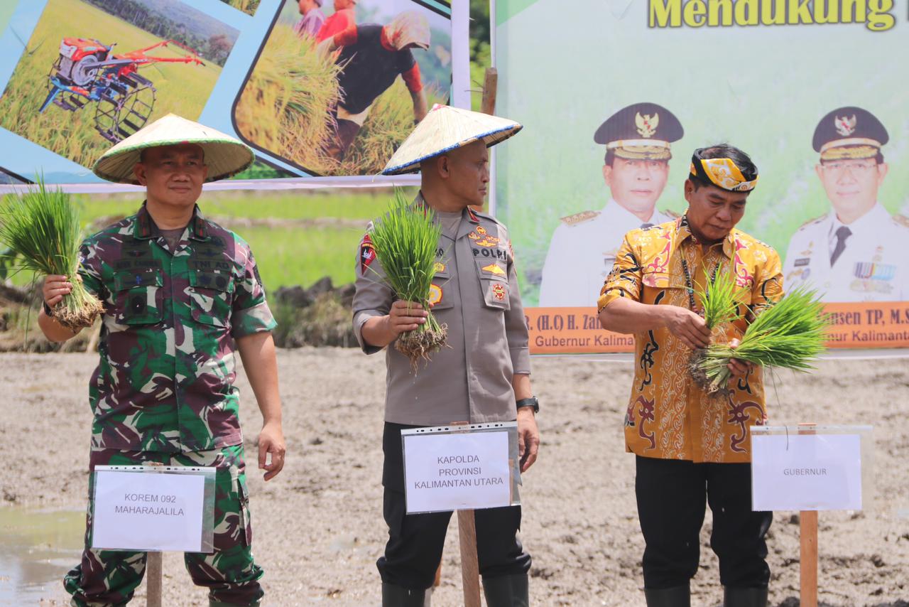 Dukung Perluasan Areal Tanam dan Peningkatan Produksi Padi di Provinsi Kalimantan Utara, Wakapolda Kaltara Hadiri Gertam bersama Forkopimda Kalimantan Utara