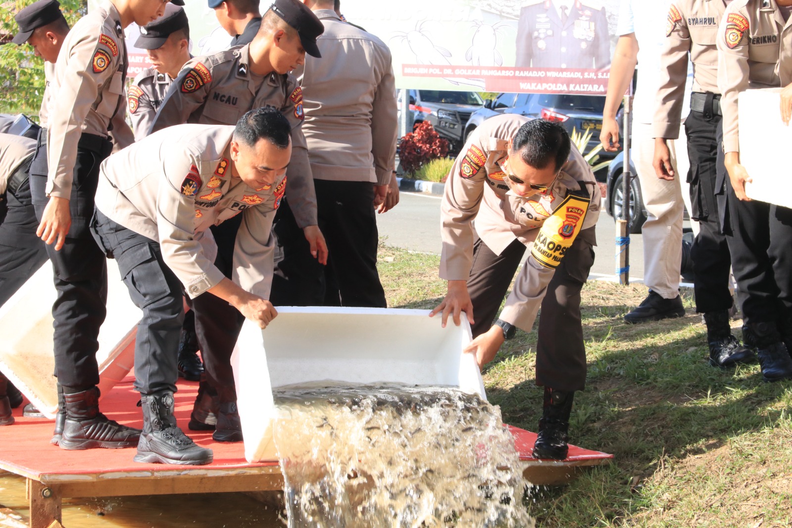 Penebaran Benih Ikan Lele oleh Polda Kaltara Dalam Rangka Mendukung Swasembada Pangan