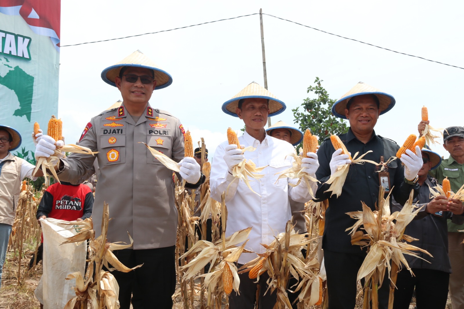 Panen Raya Jagung Kuartal III di Tarakan, Sinergi Ketahanan Pangan Kaltara